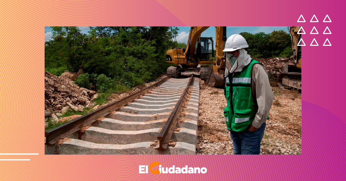 Frenan tramo 5 del Tren Maya por daños ambientales - El Ciudadano Jalisco