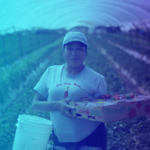 Jalisco es líder en producción agroalimentaria