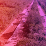 Se reanudan las obras del tramo 5 del Tren Maya