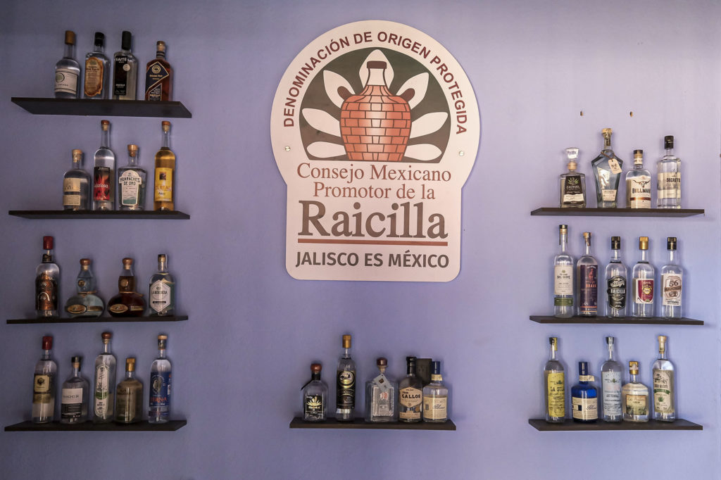 Conoce más sobre la raicilla, la segunda bebida más popular de Jalisco