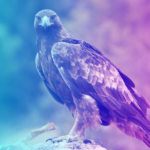 Águila real, una especie emblemática de nuestro país y con presencia en Jalisco