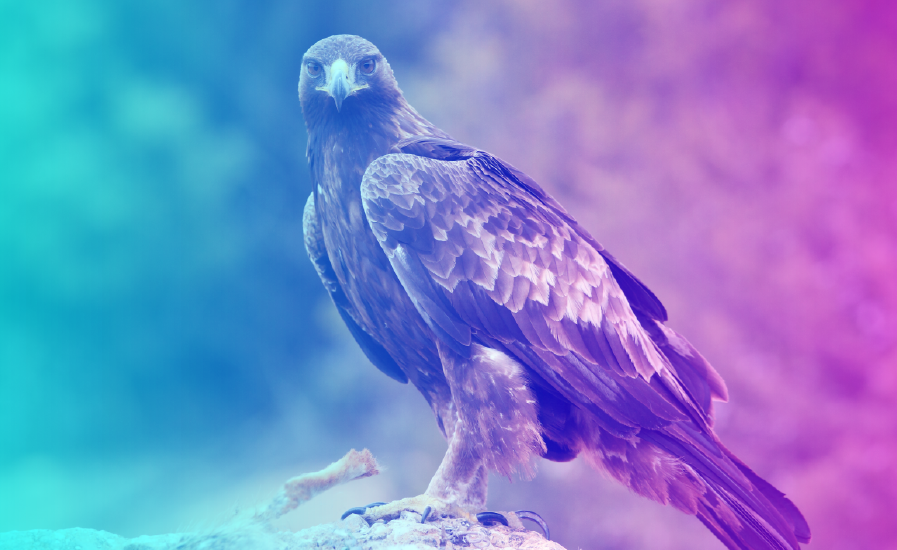 Águila real, una especie emblemática de nuestro país y con presencia en  Jalisco - El Ciudadano Jalisco