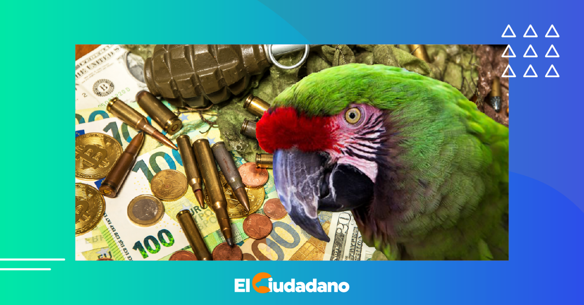 Guacamaya Leaks revela nuevos negocios de la Sedena, incluyendo su ...