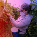 Jóvenes Herederos del Campo impulsa el desarrollo de las y los productores rurales de Jalisco