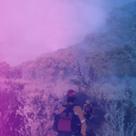 Personal de los tres órdenes de Gobierno continúan combatiendo el incendio forestal en La Primavera