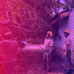 Tras el paso del huracán Lidia, autoridades de los tres niveles de Gobierno atienden afectaciones en Jalisco