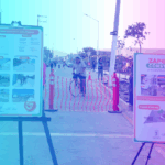 _Destacada (5)