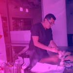 Realizan jornada de esterilización masiva en Guadalajara EC_0203_Destacada_Realizan_jornada_de_esterilización_masiva_en_Guadalajara